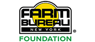 foundation-new.jpg