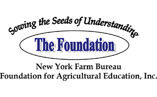 Logo Programs.png