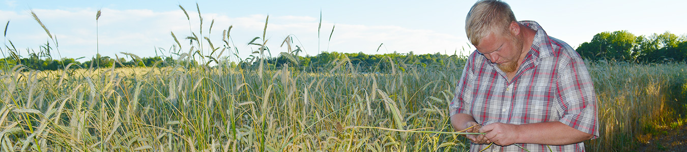 press-releases-new-york-farm-bureau